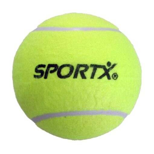 SportX