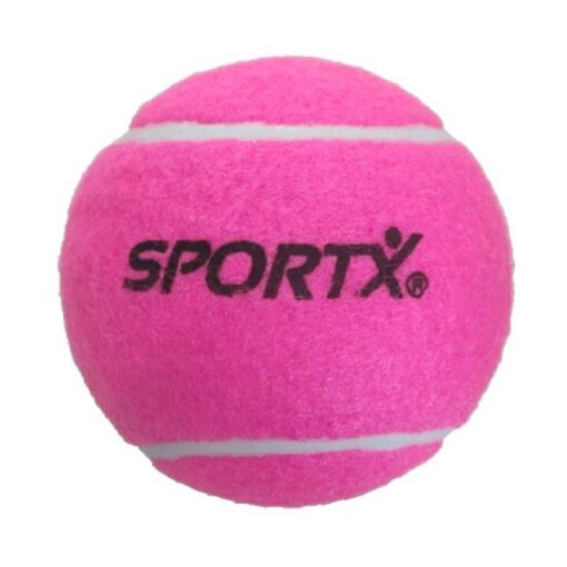 SportX