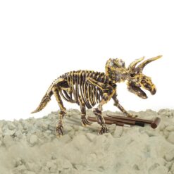 Alternative view of Dinobase Dino 3D Triceratops Skelet
