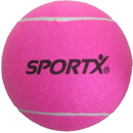 SportX