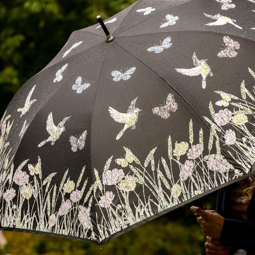 Esschert Design Kleur Veranderende Paraplu Bloemenwijde - Afbeelding 9